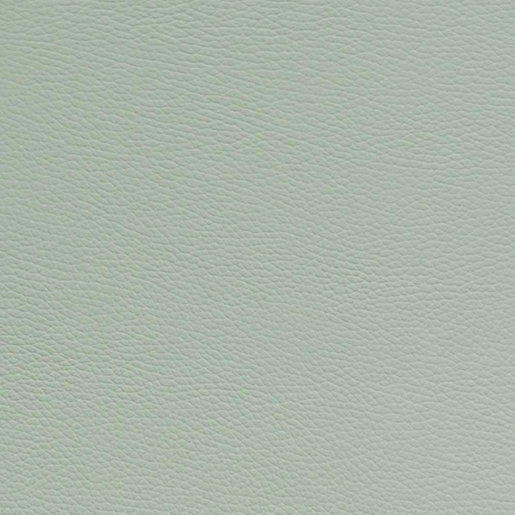 L’ETOILE 小提琴海豚盒 (皮革灰綠)